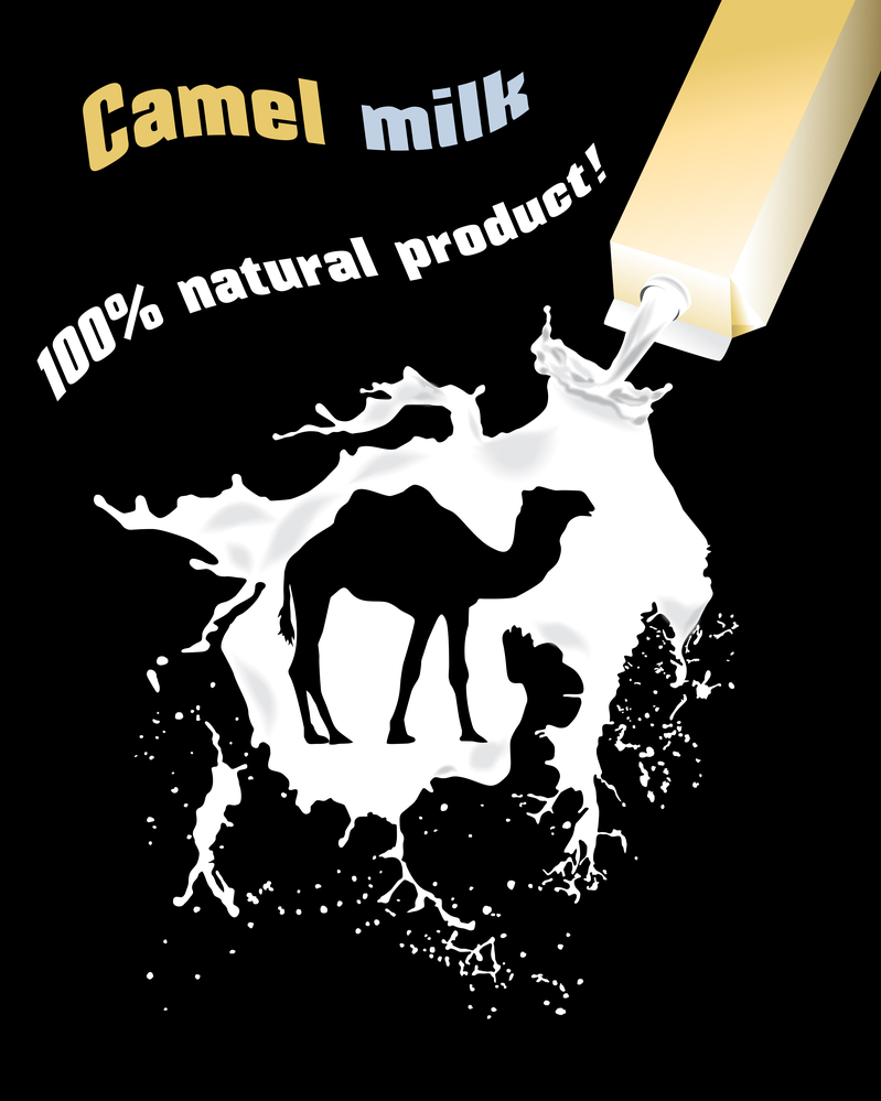 Camel Milk and Immune Health: A Natural Ally for Chronic Conditions